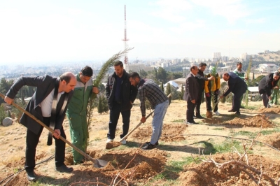 *غرس نهال با حضور سفیر بین‌المللی منابع طبیعی در شیراز*  