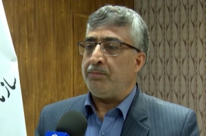 تسلیم اظهارنامه‌های مالیاتی در استان بوشهر ۱۰ درصد افزایش یافت
