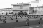 عیدانه نیکاندیشان شیرازی برای نیازمندان